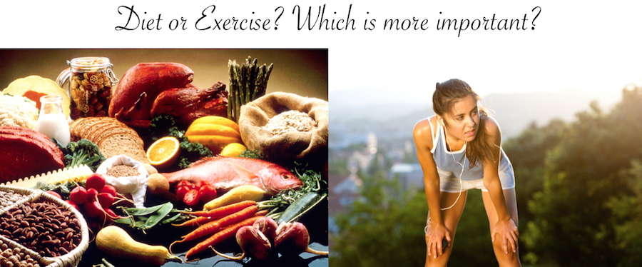 Diet or Exercise: Which is more important?